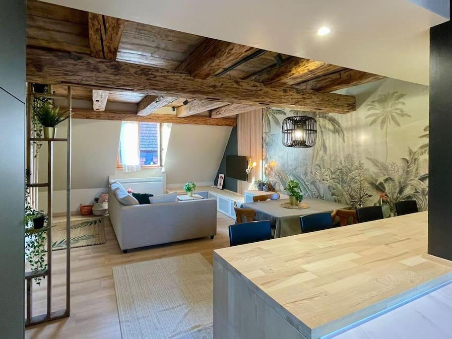 Apartamento L'Eden Du Vignoble - Centre Historique De Barr Exterior foto