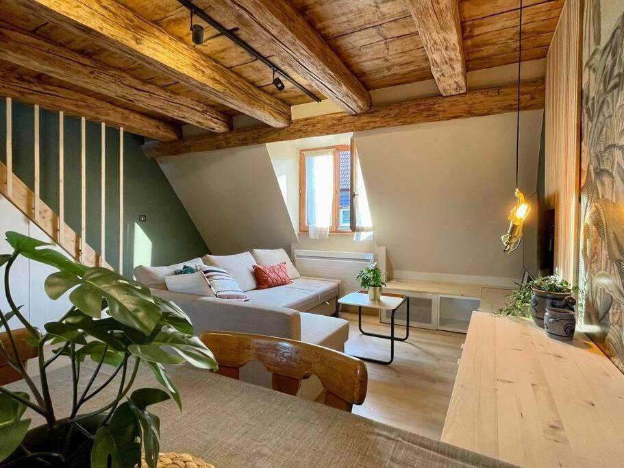 Apartamento L'Eden Du Vignoble - Centre Historique De Barr Exterior foto